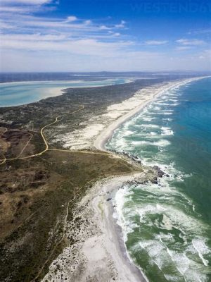 West Coast National Park Güzel Plajları ve Zengin Yaban Hayatı İle Tanınır!